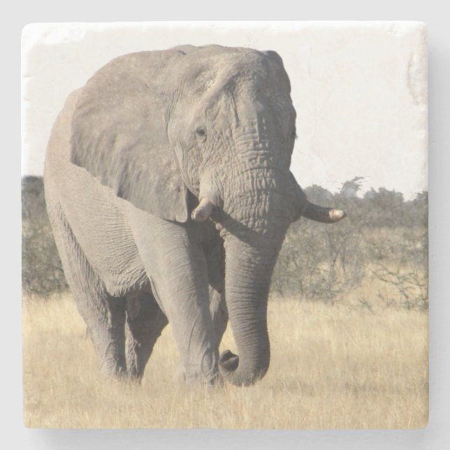 Elephant Stone Coaster (Front)