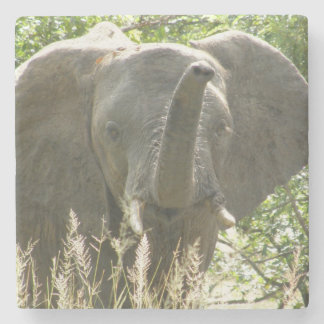 Elephant Stone Coaster (full colour)