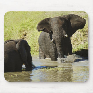 Elephant swimming mouse pad