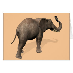 Elephant Taking A Selfie