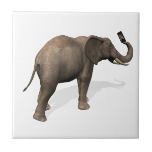 Elephant Taking A Selfie Tile