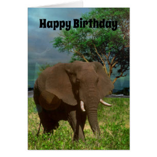 Eléphant taureau africain, carte d'anniversaire