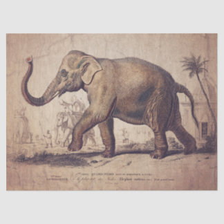 Elephant Tissue or Decoupage Paper