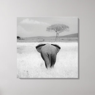 Éléphant, toile enveloppée de vue arrière