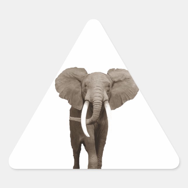 Elephant Triangle Sticker (Front)