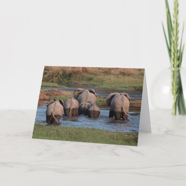 Elephant tushies, Tanzania Holiday Card (Front)