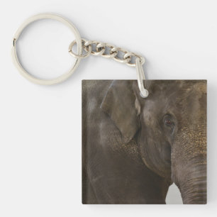 Elephant Up-Close Keychain