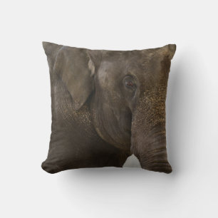 Elephant Up-Close Throw Pillow