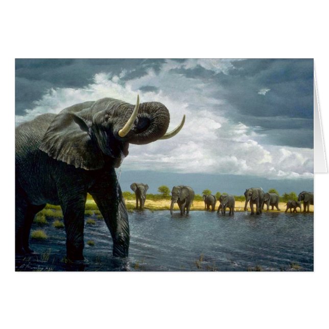 Elephant walk (Front Horizontal)