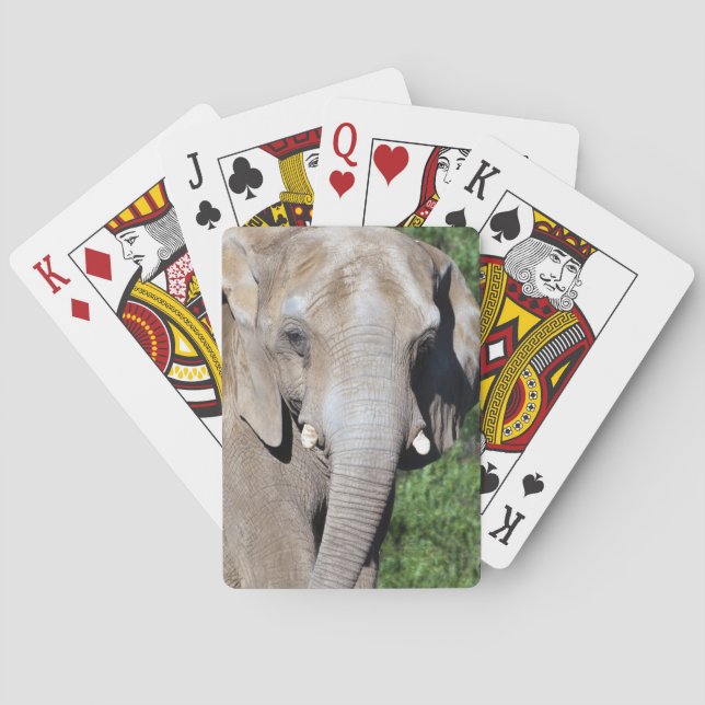 Elephant Walking Playing Cards (Back)