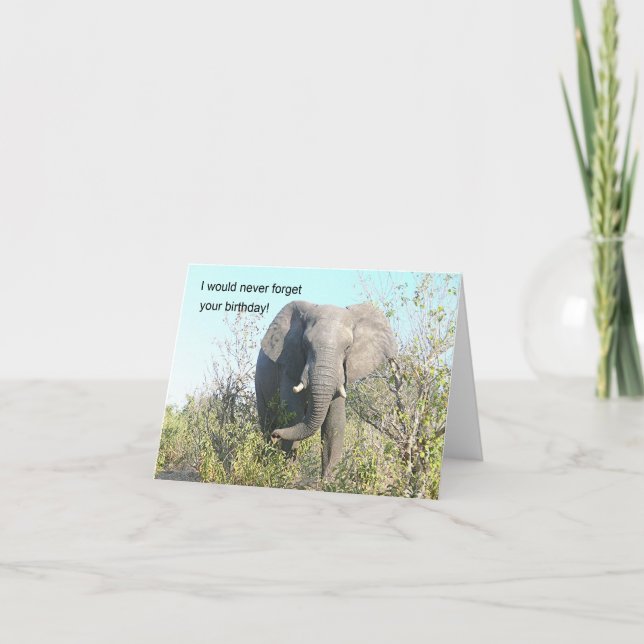 ELEPHANT WALKING TOWARD CAMERA CARD (Front)
