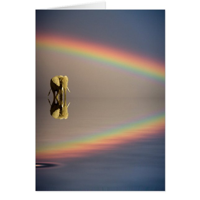 Elephant, Water & Rainbow, Kenya (Front)