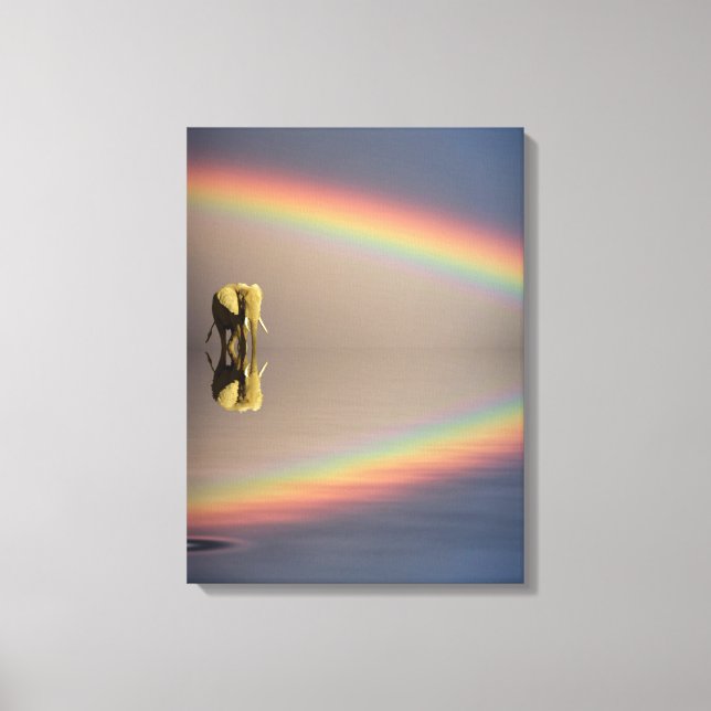 Elephant, Water & Rainbow, Kenya Canvas Print (Front)