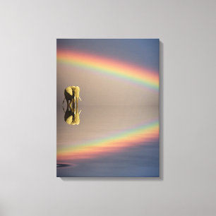 Elephant, Water & Rainbow, Kenya Canvas Print