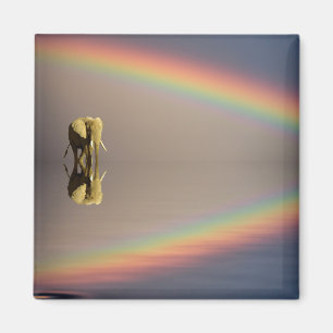 Elephant, Water & Rainbow, Kenya Magnet