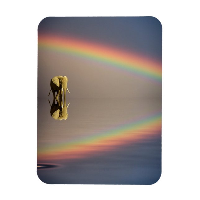 Elephant, Water & Rainbow, Kenya Magnet (Vertical)