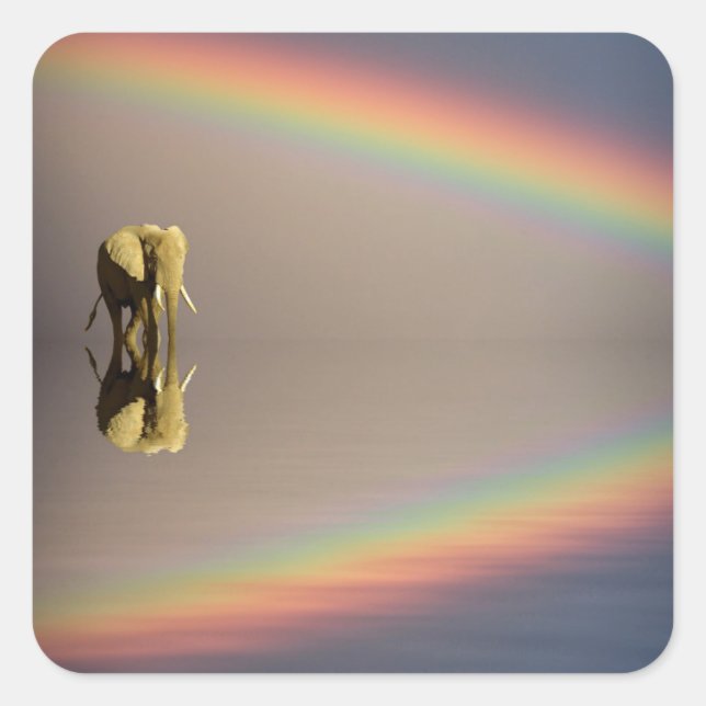 Elephant, Water & Rainbow, Kenya Square Sticker (Front)