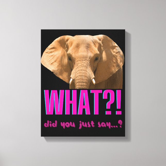 Elephant What Did You Just Say? Canvas Print (Front)