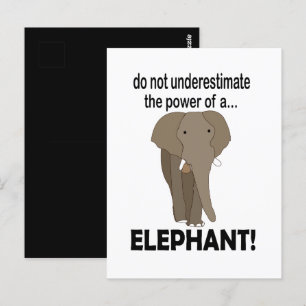 Elephant Wild Animal Funny Elephant Postcard