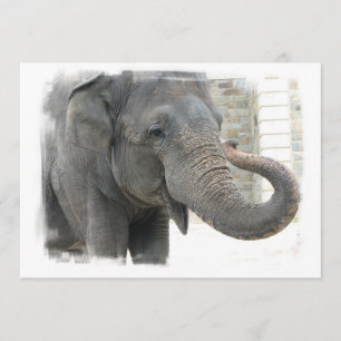 Elephant with Curled Trunk Invitation