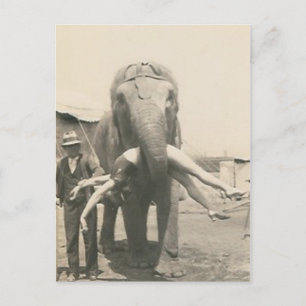 elephant with girl in mouth postcard