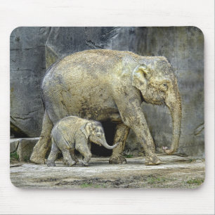 Elephant with Newborn Calf Mousepad