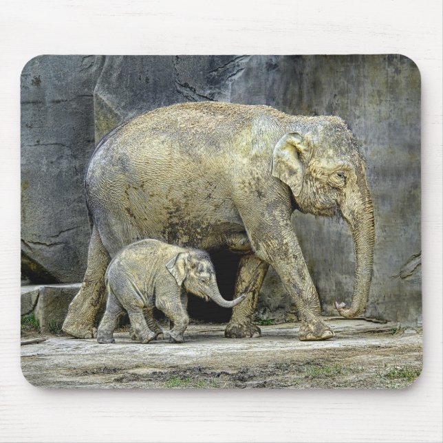Elephant with Newborn Calf Mousepad (Front)