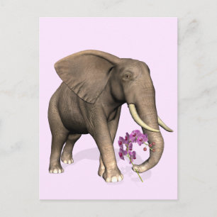 Elephant With Pink Orchid Postcard