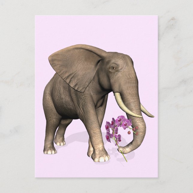 Elephant With Pink Orchid Postcard (Front)
