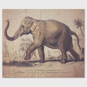 Elephant Wrapping or Decoupage Paper