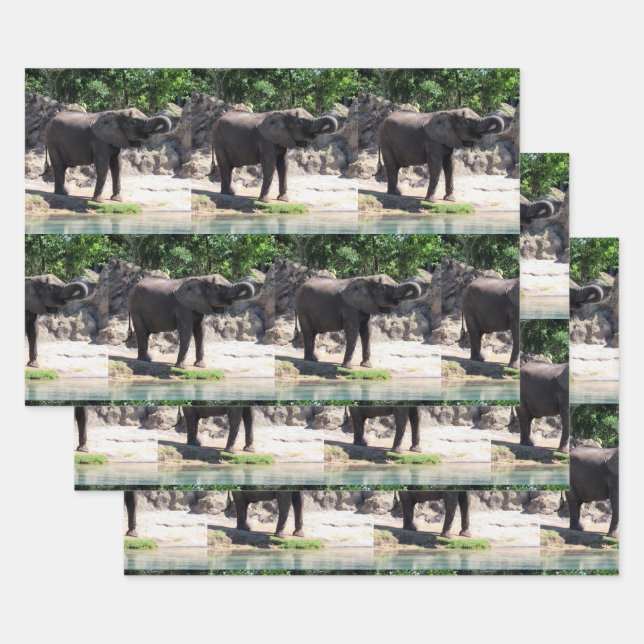 Elephant - Wrapping Paper Sheets (Set)