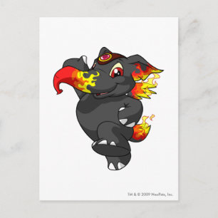 Elephante Fire Postcard