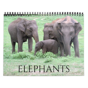 elephants 2027 calendar