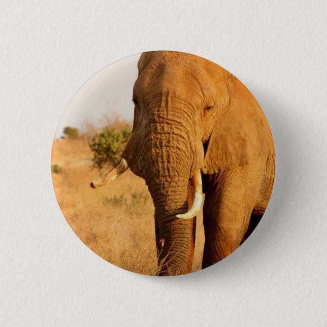 Elephants 2 Inch Round Button (Front)
