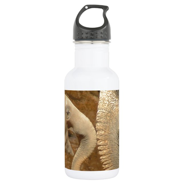 ELEPHANTS 532 ML WATER BOTTLE (Front)