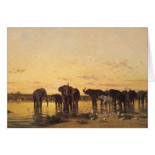 Éléphants africains