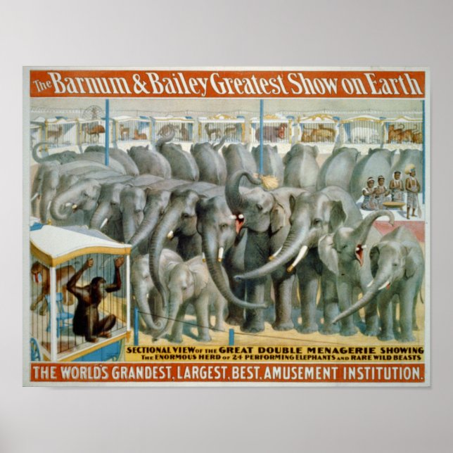 Elephants and Double Menagerie Circus Poster (Front)