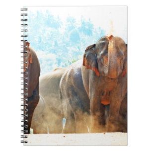 Elephants Animals Safari Destiny Peace Love Notebook