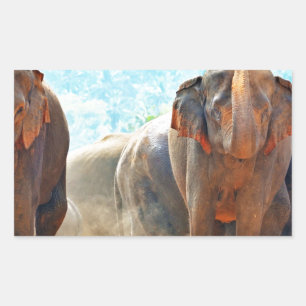 Elephants Animals Safari Destiny Peace Love Sticker