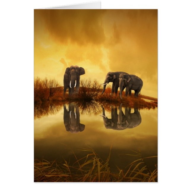 Eléphants asiatiques en Thaïlande sous un coucher  (Devant)