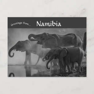 Elephants at Etosha National Park Namibia Postcard