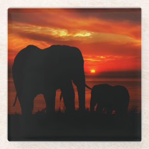 Elephants at Sunset Glass Coaster