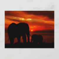 Elephants at Sunset