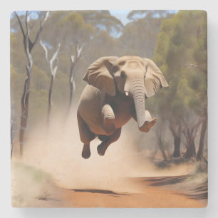 Elephants Can Jump, Stone Coaster