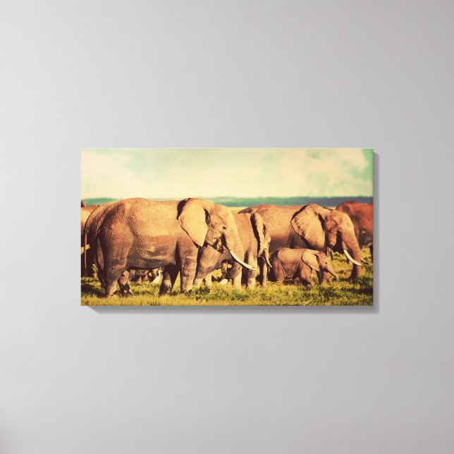 Elephants canvas print (Front)