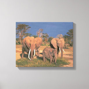 Elephants Canvas Print