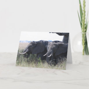 Elephants Card