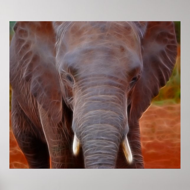 Elephants charge poster (Front)