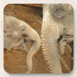 ELEPHANTS COASTER