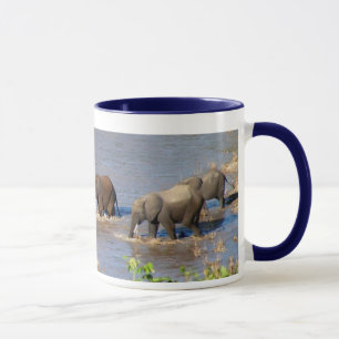 Éléphants croisant la tasse de rivière de